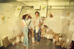 Exposição artesanal
