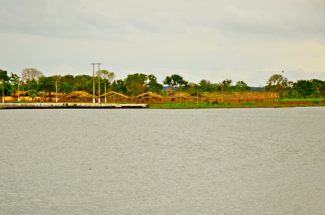 DSC_4635