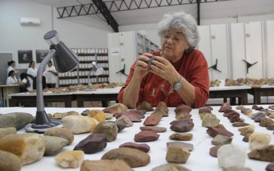 Arqueóloga Niède Guidon morre aos 92 anos