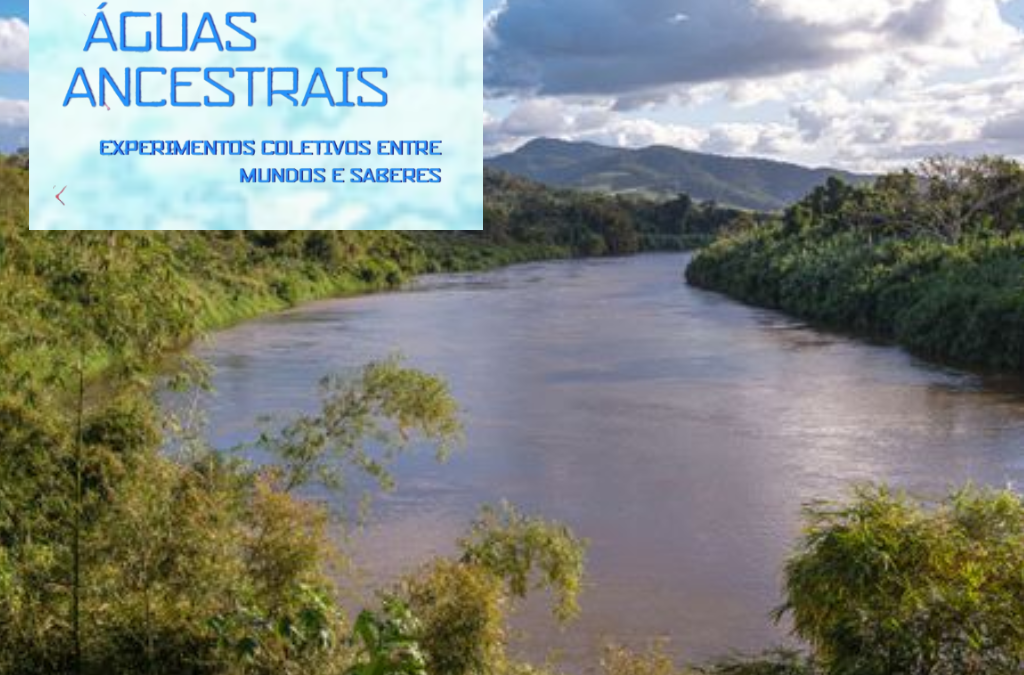 Webnário apresenta reflexões que promovem a interação e o cuidado com as águas ancestrais