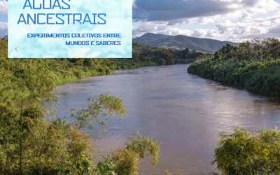 Webnário apresenta reflexões que promovem a interação e o cuidado com as águas ancestrais